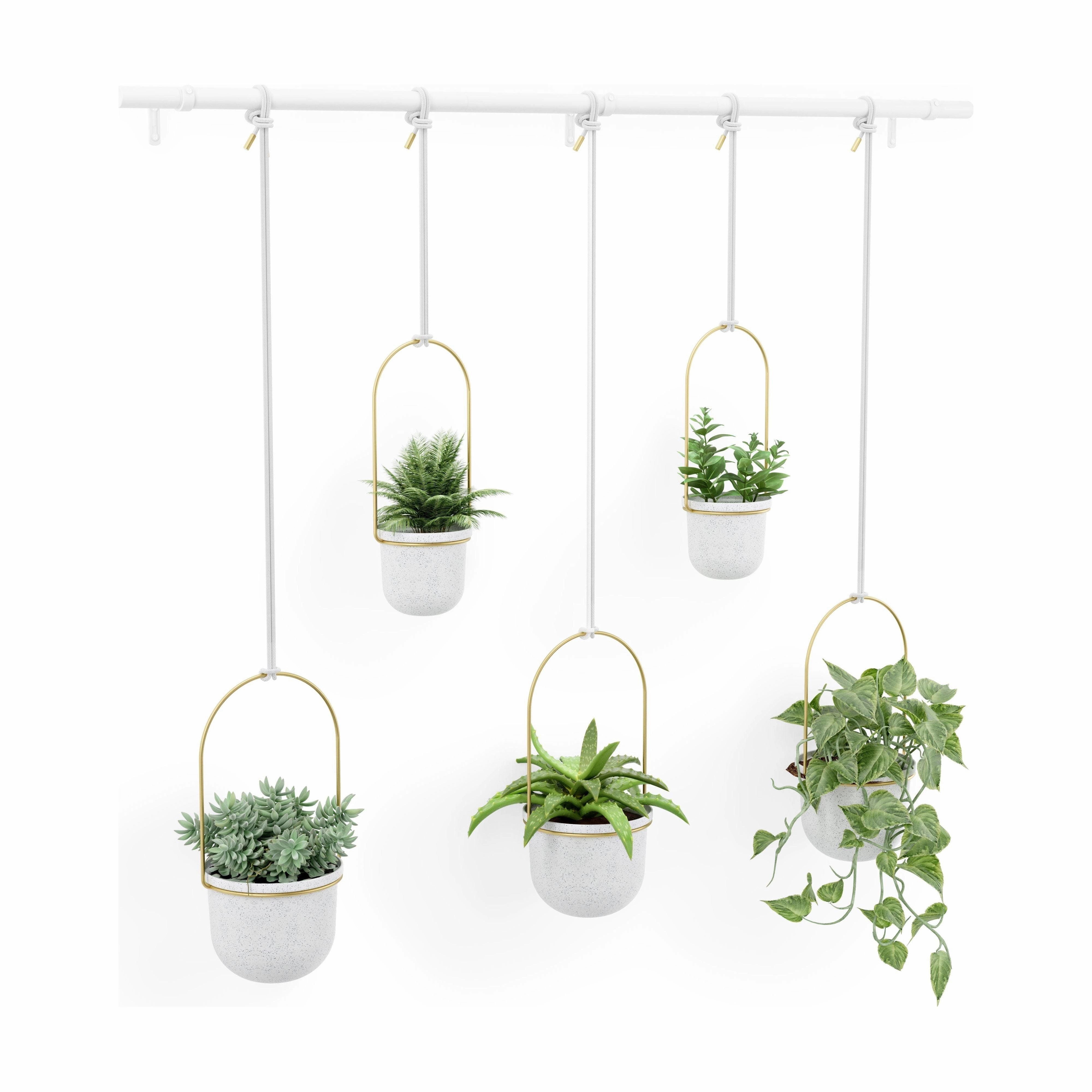 Triflora Hanging Planter (Set of 5)