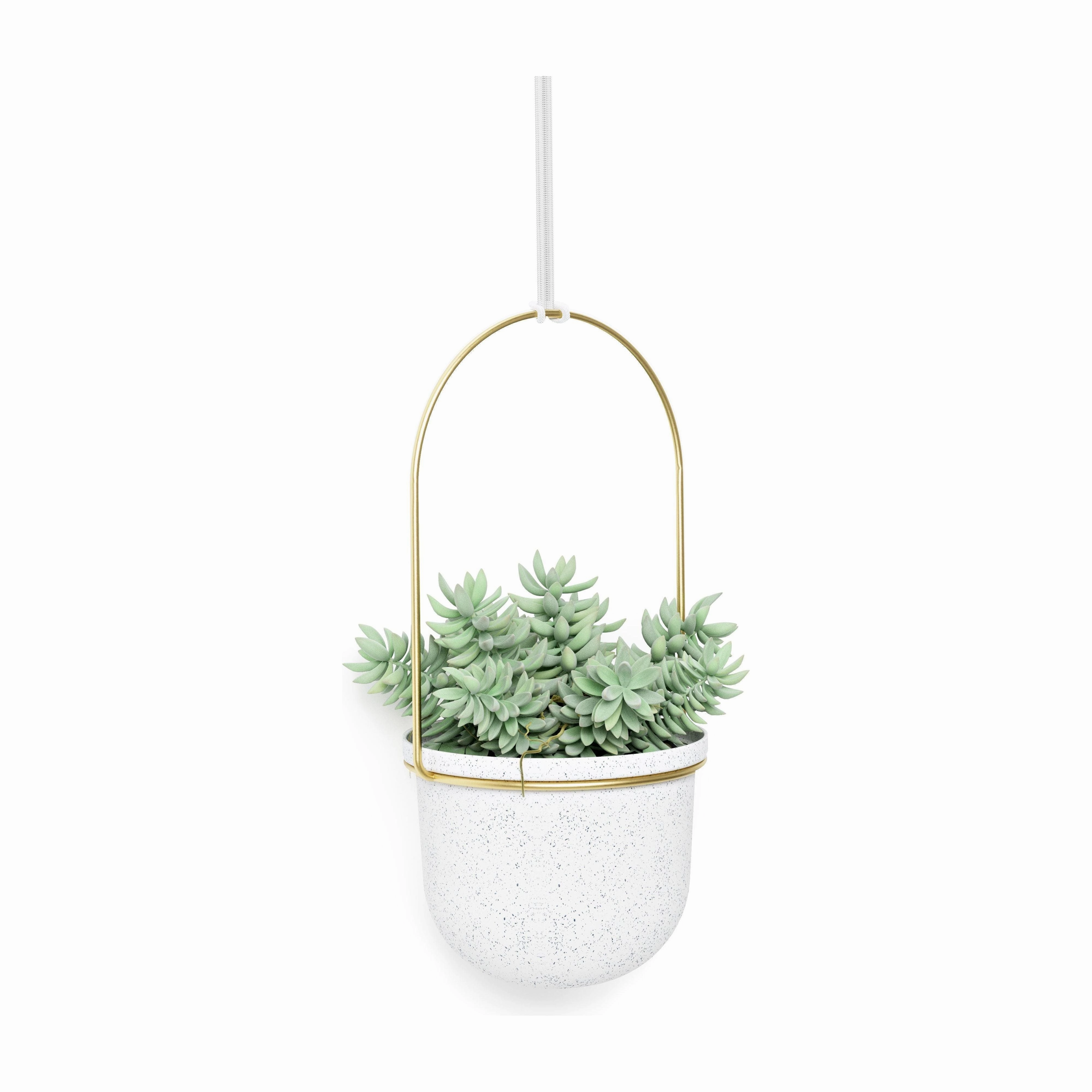 Triflora Hanging Planter (Set of 5)