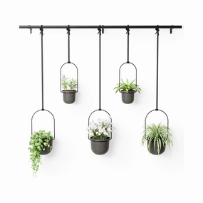 Triflora Hanging Planter (Set of 5) Household,household cleaning tools