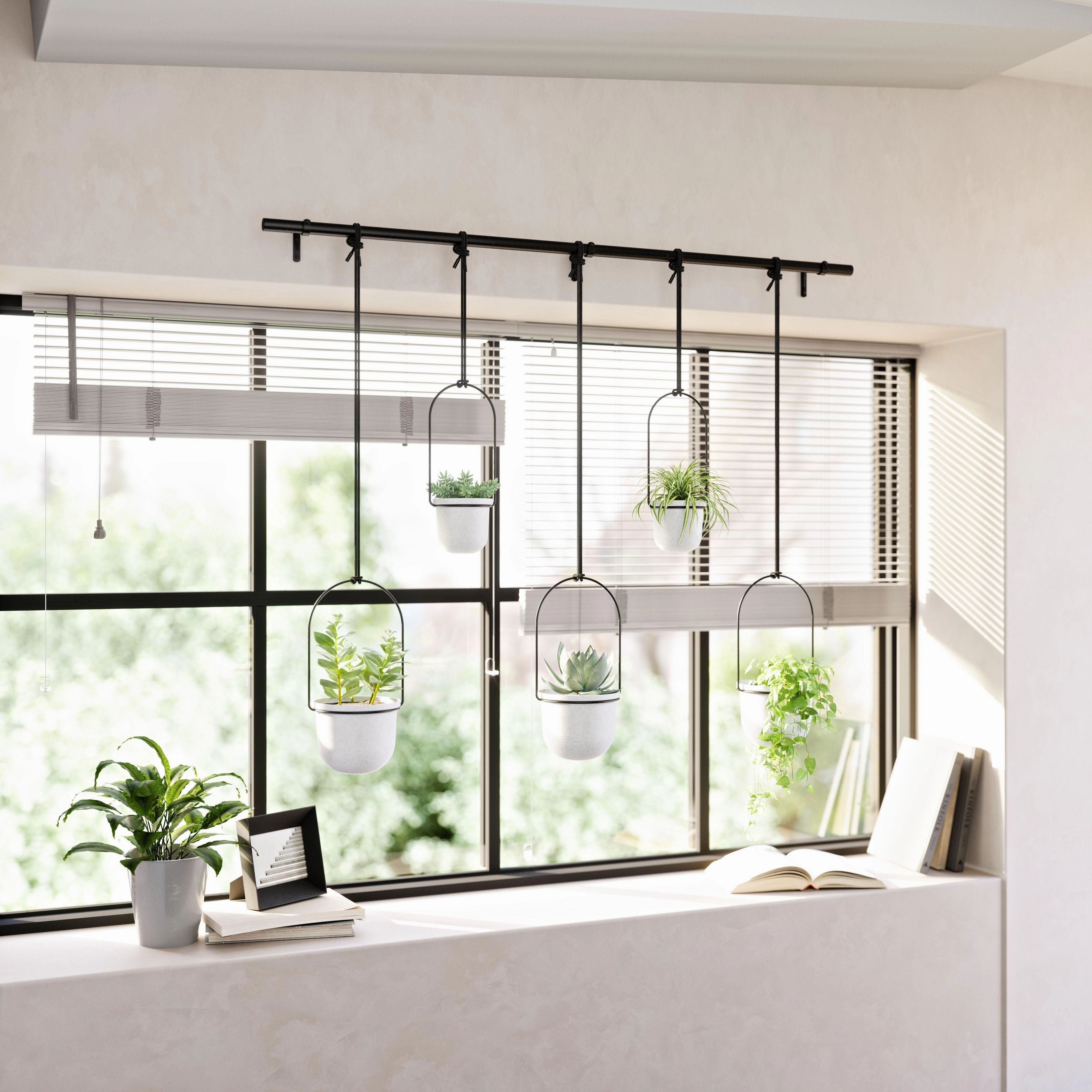 Triflora Hanging Planter (Set of 5)