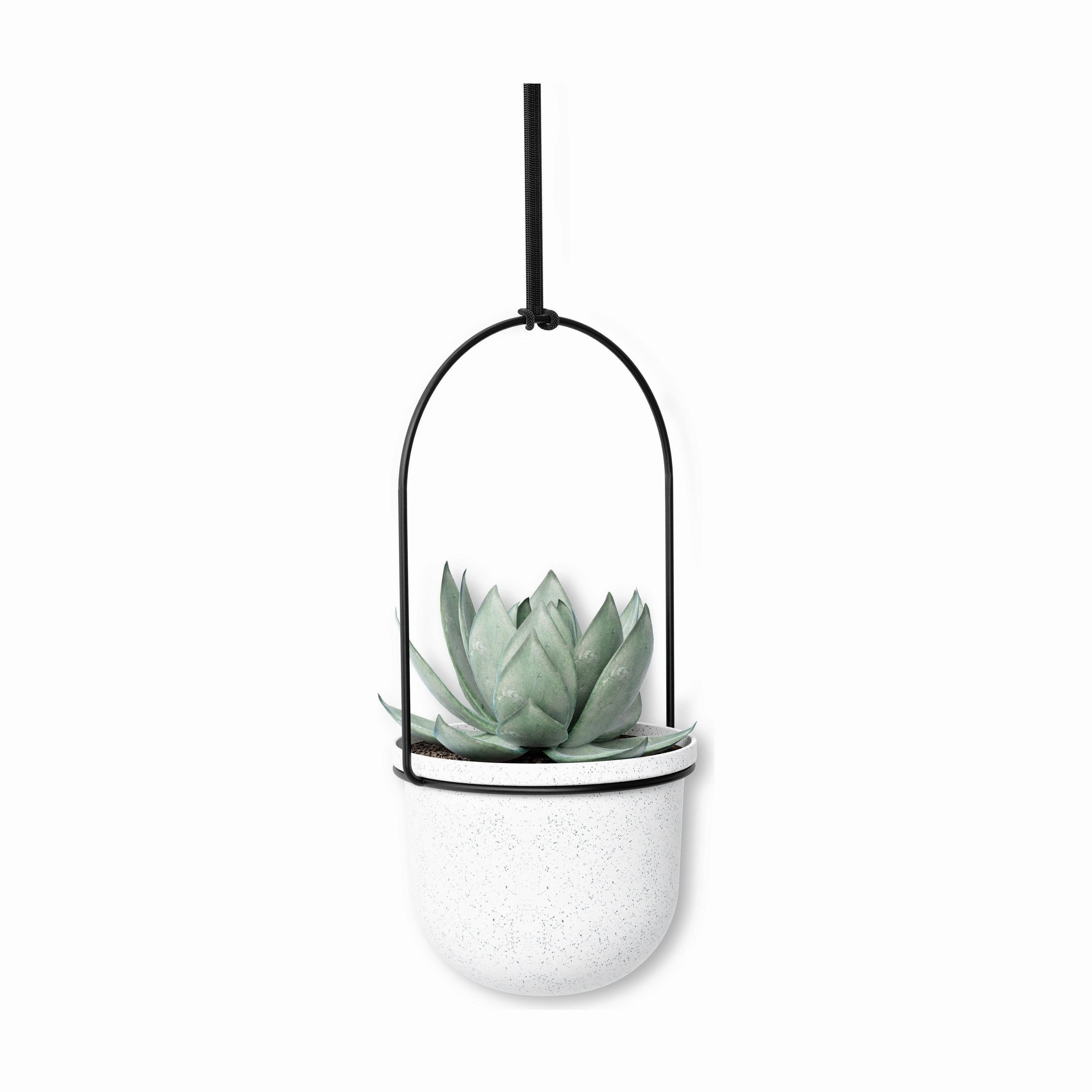 Triflora Hanging Planter (Set of 5)