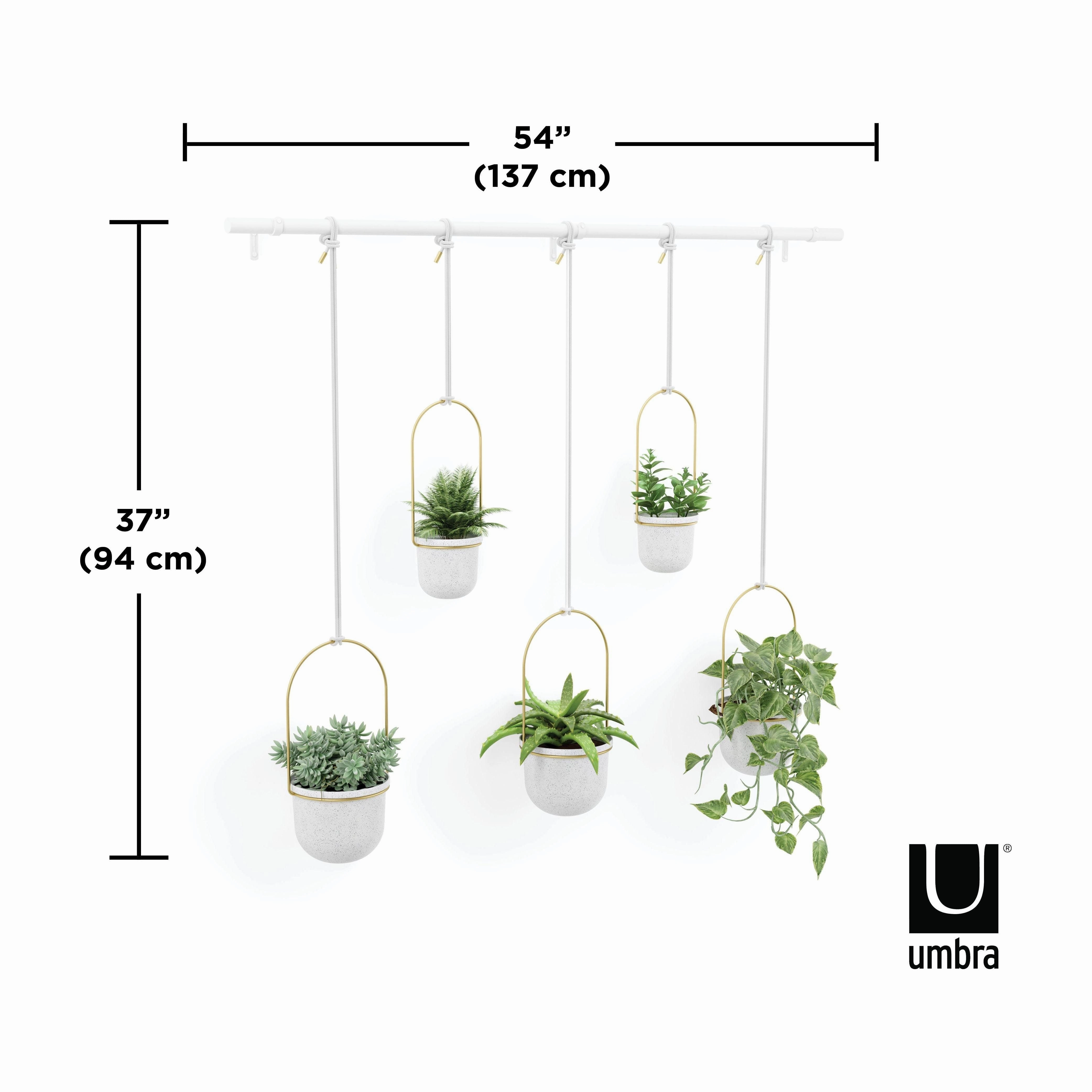 Triflora Hanging Planter (Set of 5)