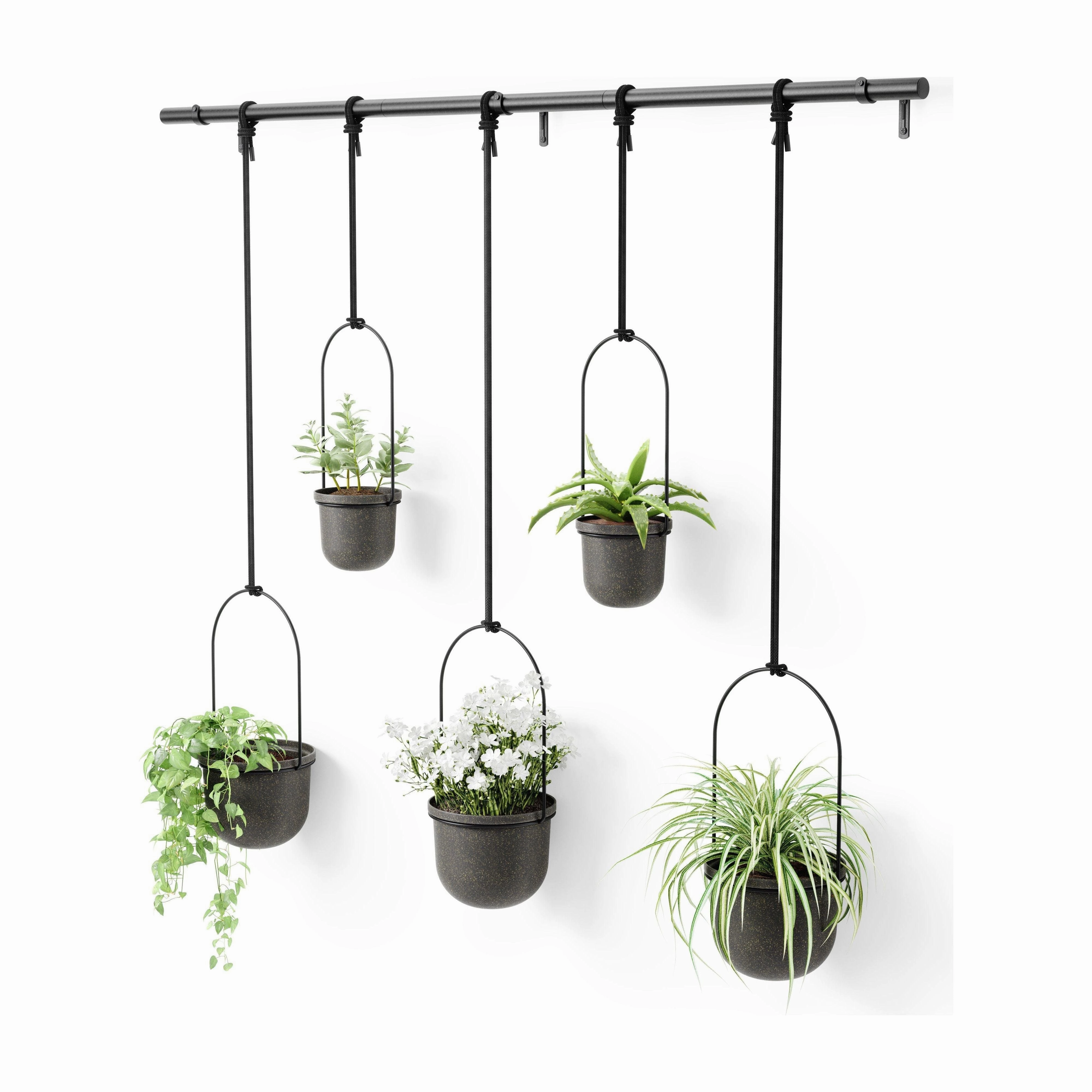 Triflora Hanging Planter (Set of 5)