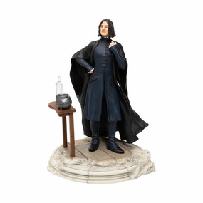 Wizarding World of Harry Potter Snape Figurine Decorative Mirror,Home Decor Mirror