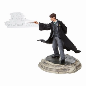 Wizarding World of Harry Potter Tom Riddle Figurine Decorative Mirror,Home Decor Mirror